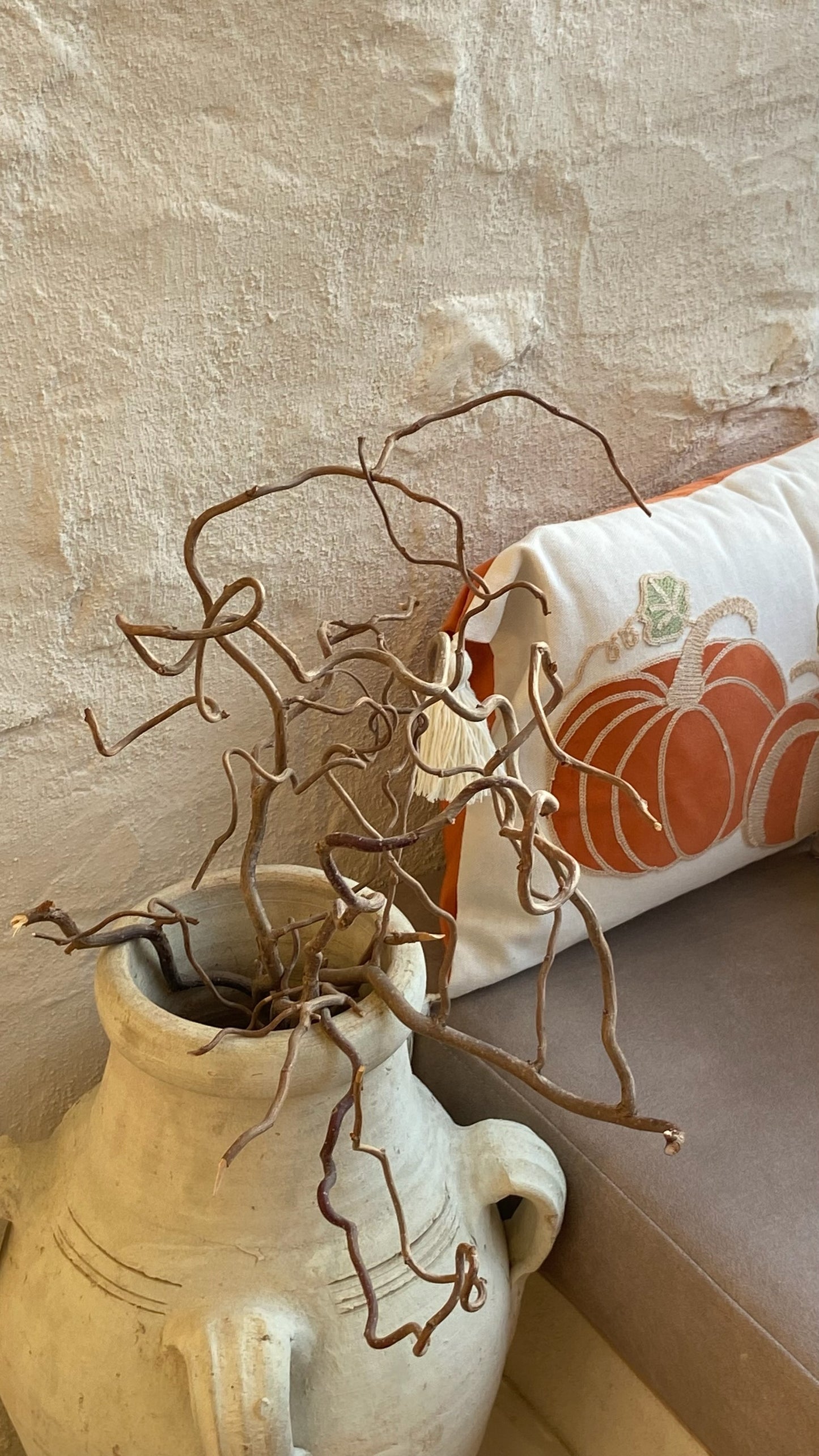 Monthly Maintenance Session