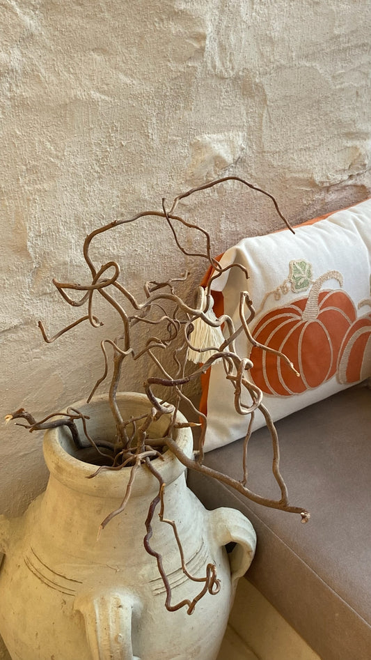 Monthly Maintenance Session